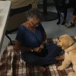 Veteran Scotty begins the very important early puppy training with 3 month old Oscar.