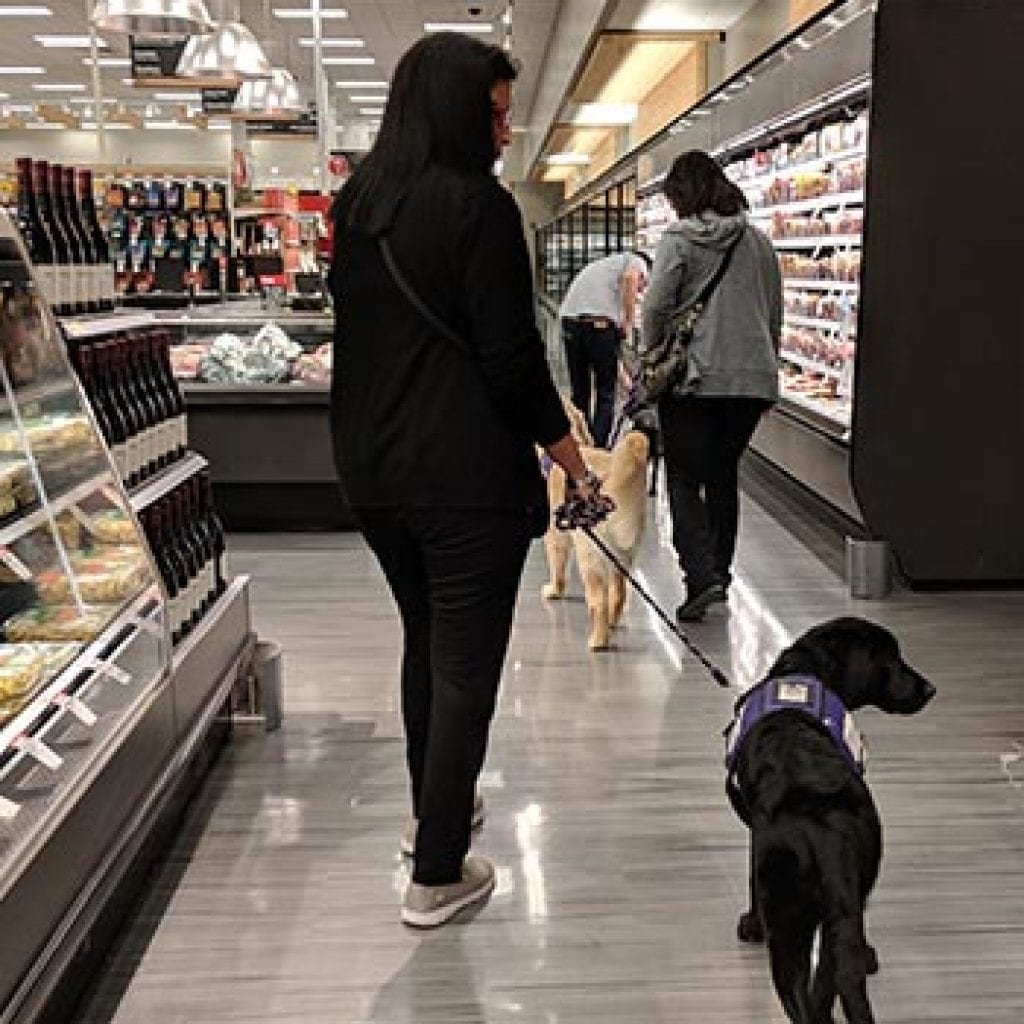 Puppy parents take a field trip with our Program Instructors weekly learning different skills that are very important for when they become fully trained service dogs!