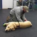 Buck bonding with a Veteran before a CATI training session.