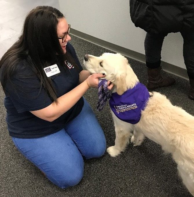Service Dog in Training Doyle with a USO volunteer