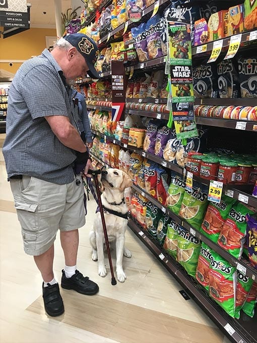 One of our Veterans on a field trip to the grocery store with a pup in training