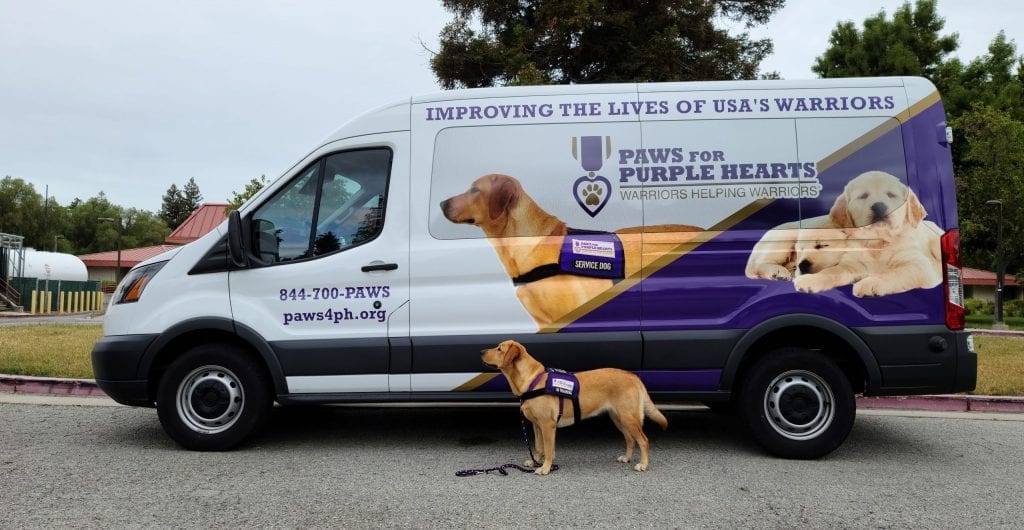 new-graphic-wraps-feature-pph-dogs-paws-for-purple-hearts