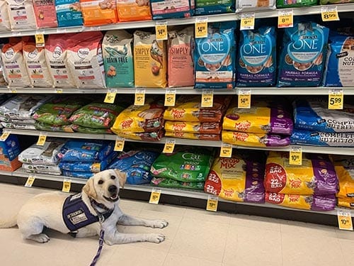PPH Delta wears her vest to the grocery store