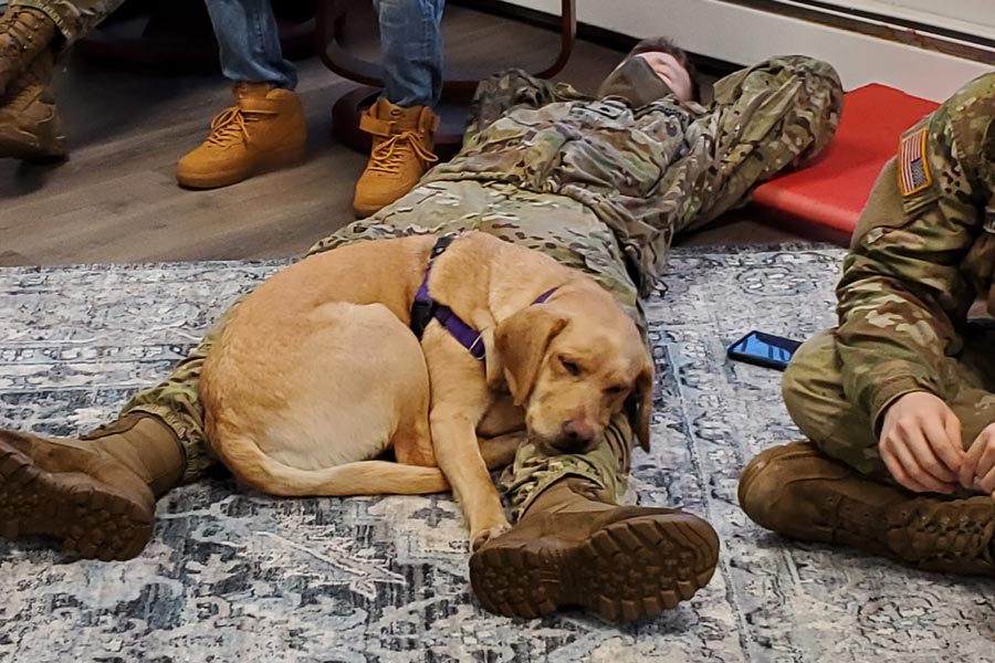 “Andi is helping a JBER soldier to relax after a difficult week.” Photographer: PPH Alaska