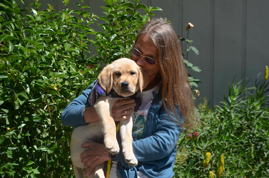 Dr. Bergin with a puppy from the Paws for Purple Hearts D Litter