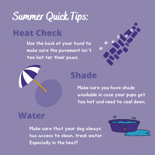 Summer Quick Tips