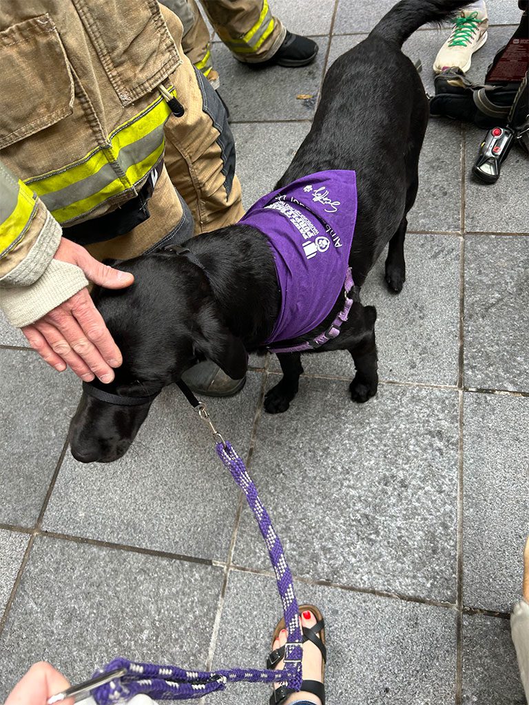 Ambassador Dog, Scotty Gets and Gives Lots of Love to Our Firefighters!