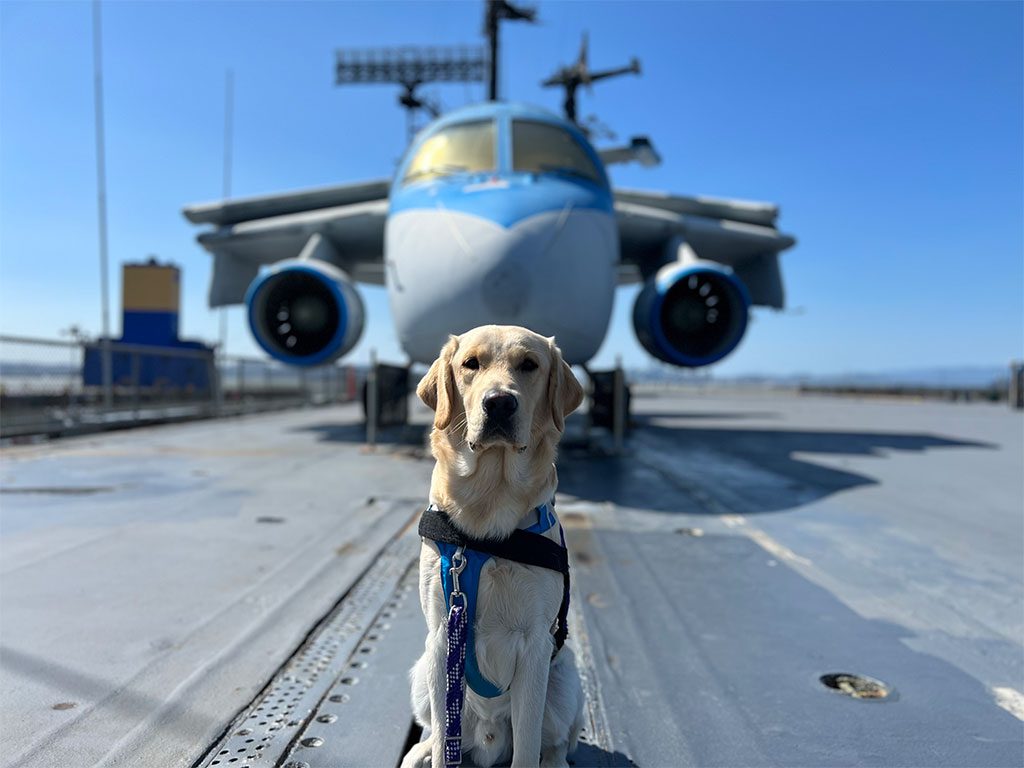 Service Dog-in-training, Oakley aboard the USS Hornet