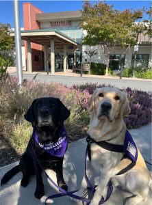 Ambassador Dog Schatzie & Service Dog-In- Training Oakley