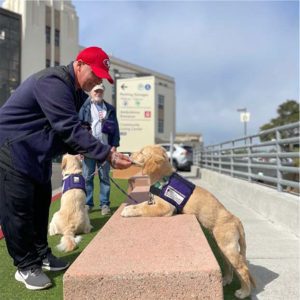 Paws for Purple Hearts CAWT Participant & Service Dog-In-Training Ryan