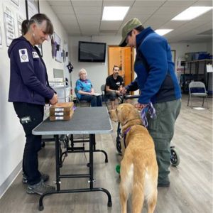Pavloff & Kreitzberg Practice the ADI Service Dog Exam