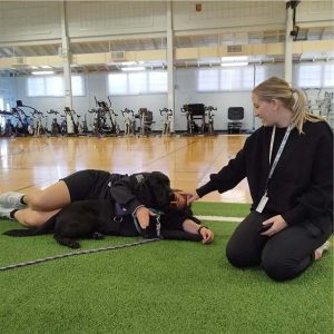 Paws for Purple Hearts, Washington Service Dog- In-Training Ericson with CAWT® Participants